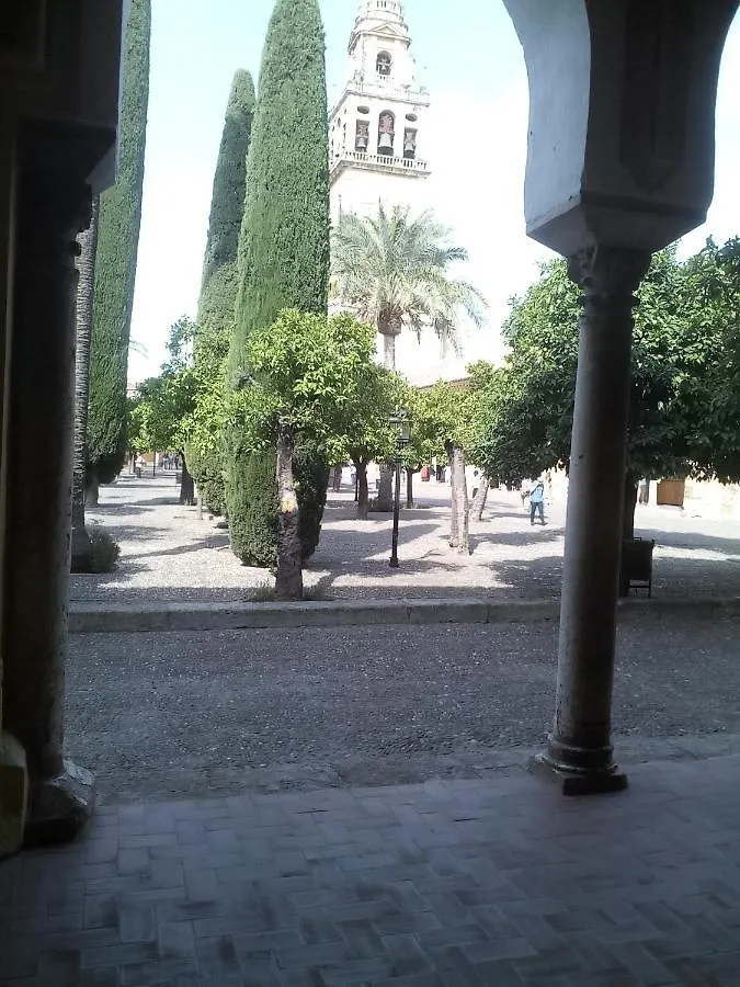 Lineros 24 Apartment Cordoba Spain